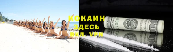 кокс Вяземский