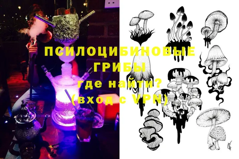 Псилоцибиновые грибы MAGIC MUSHROOMS  Клин 